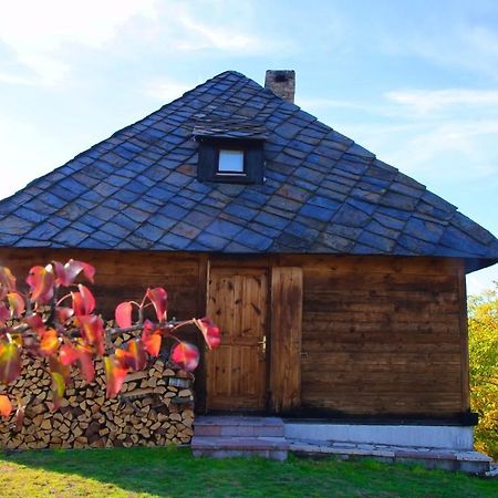 Cabin Menka Sirogojno Extérieur photo